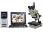 實體圖像顯微鏡或數(shù)碼攝影實體顯微鏡，配置了高清晰度的圖像傳感攝像機 (或數(shù)碼相機)，可以將顯微成像由計算機進行處理、編輯、保存和輸出 (如打印等)或進入多媒體系統(tǒng)及電子信箱。
